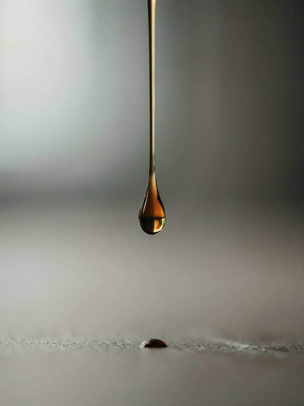 Proteine: semi vs olio – galleria 3