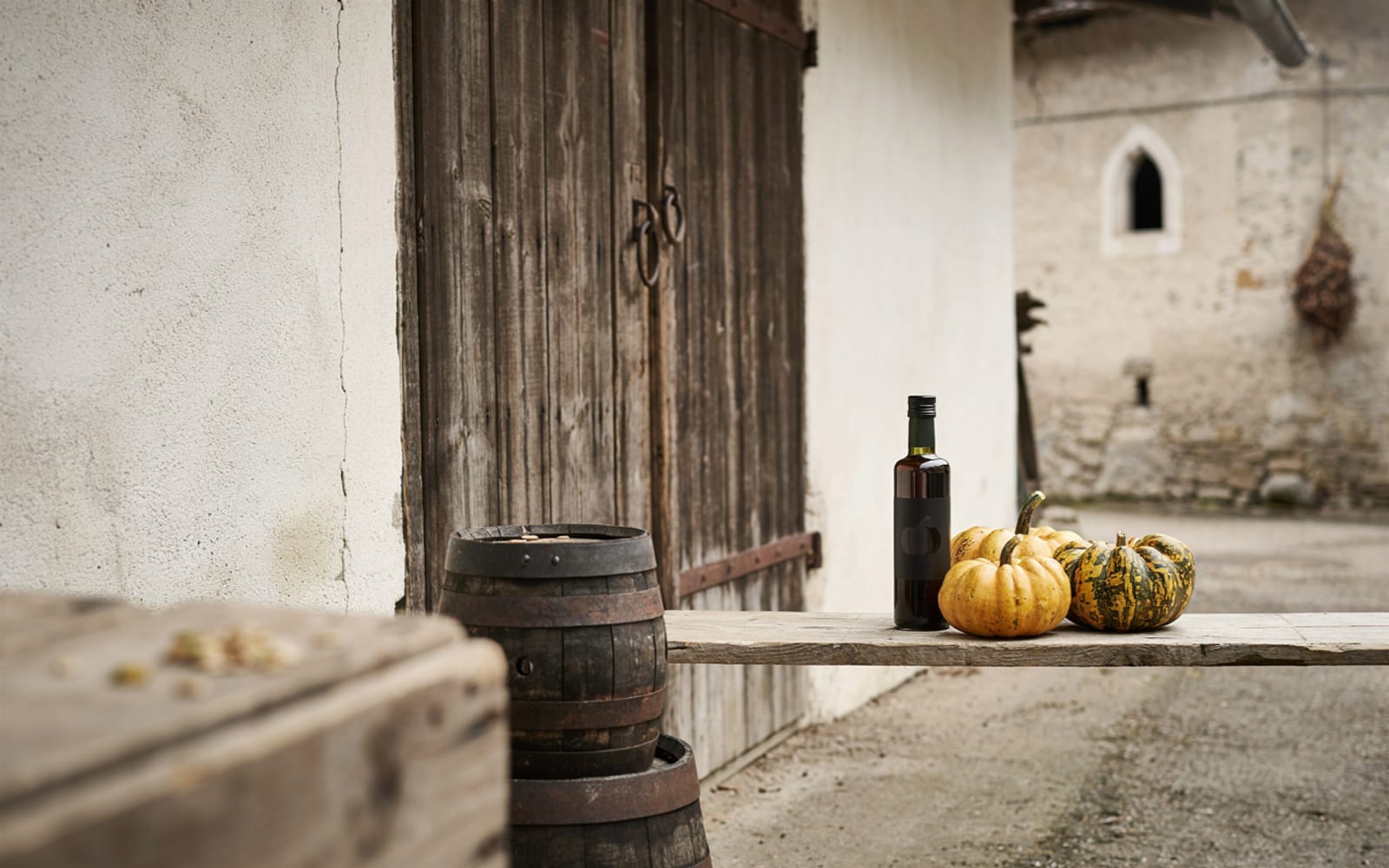 Produttori dell'olio di zucca della Stiria – galleria 1